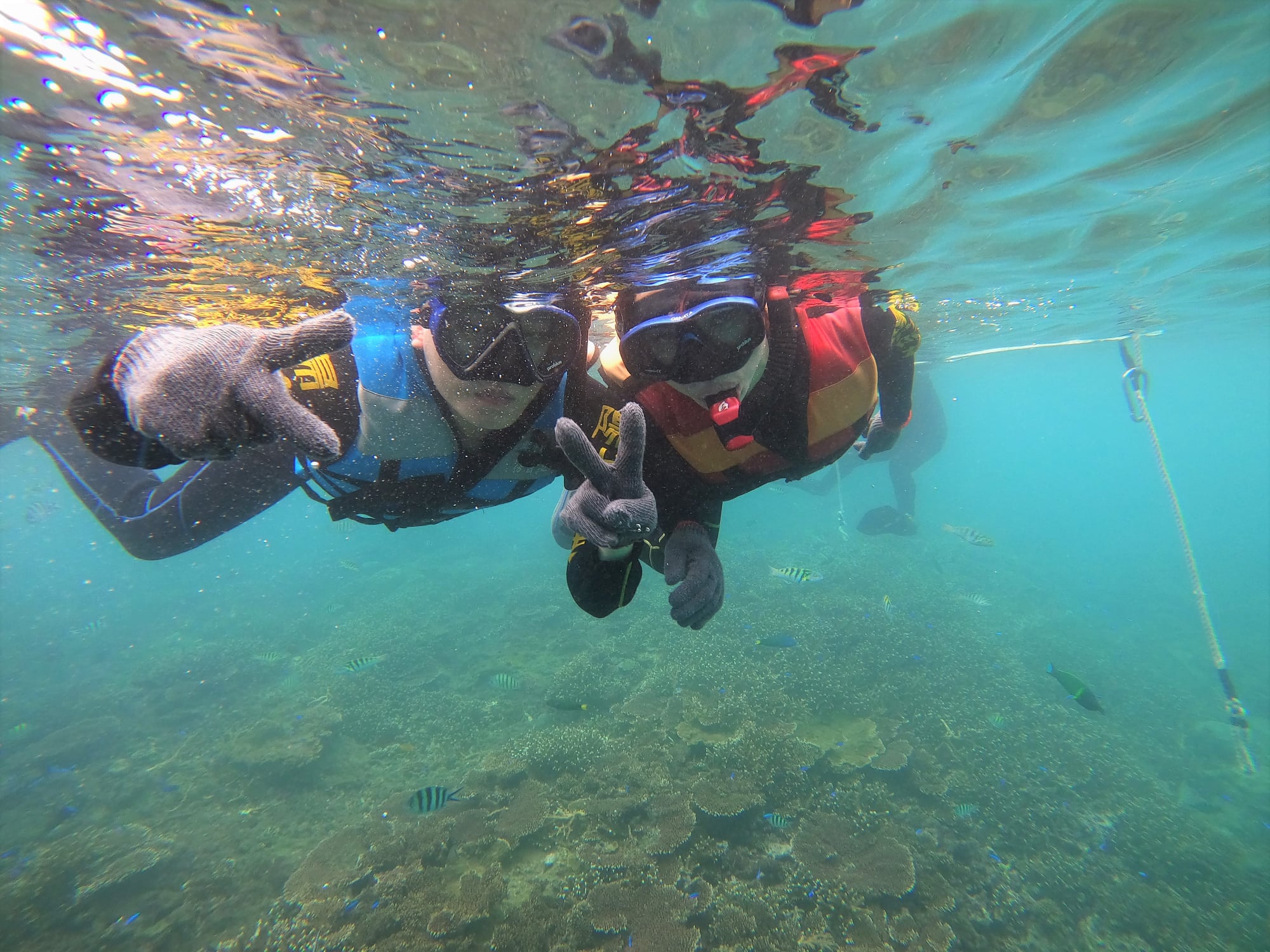 澎湖旅遊-專業浮潛